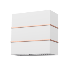 Akicon 30" Stainless Steel Wall Mount Range Hood with 600 CFM Vent Hood