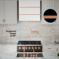 Akicon 30" Stainless Steel Wall Mount Range Hood with 600 CFM Vent Hood