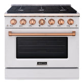 36" Slide-in Freestanding Professional Style Gas Range with 5.2 Cu. Ft. Oven, 6 Burners