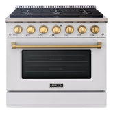 36" Slide-in Freestanding Professional Style Gas Range with 5.2 Cu. Ft. Oven, 6 Burners