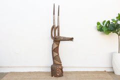 19th Century 83" Tall African Antelope Adone