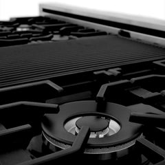 48" Gas on Gas Range in Stainless, Dura Snow Doors, RG-SN-48