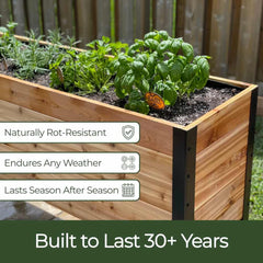 18" x 72" Planter Box - 24" TALL / Select Grade