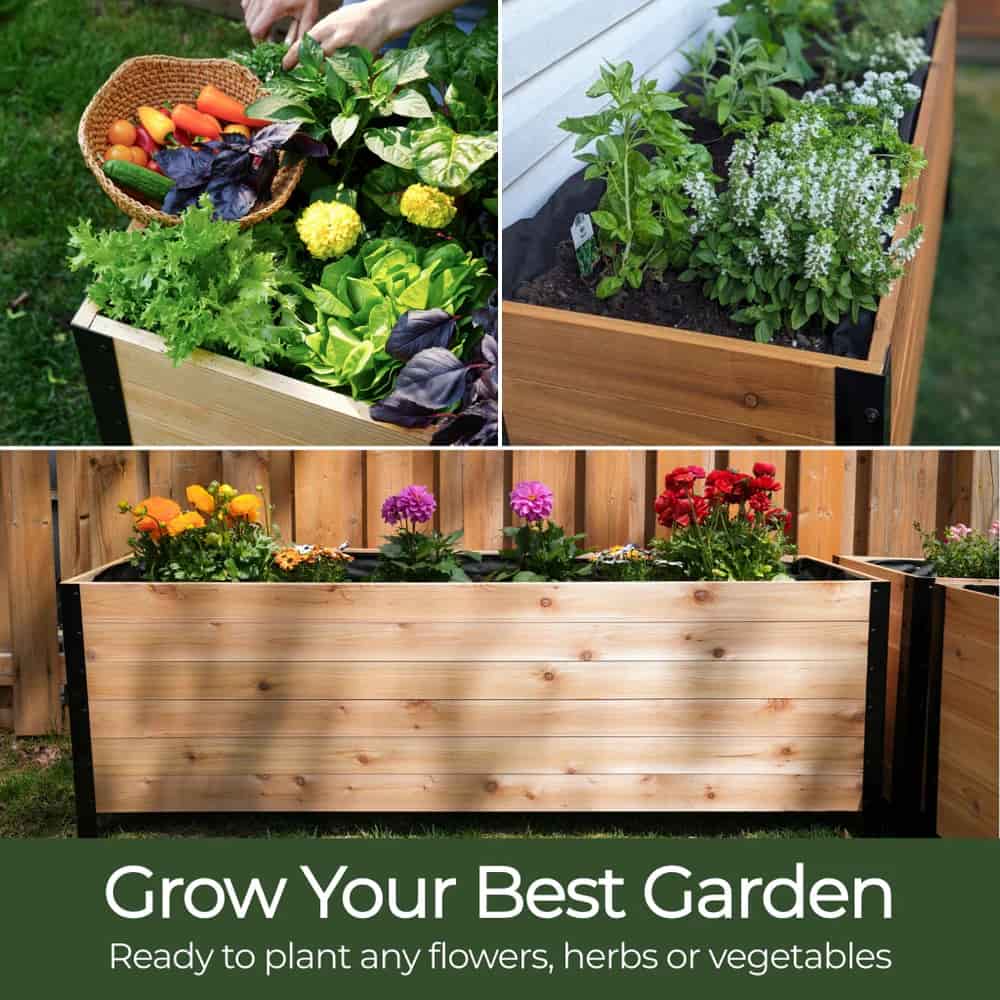 18" x 48" Planter Box - 24" TALL / Select Grade
