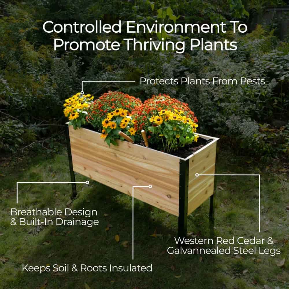 18" x 72" Planter Box - 24" TALL / Select Grade
