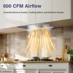30" Range Hood Insert ,600 CFM Stainless Steel Kitchen Vent Hood with 4 Speeds 3CCT LED Lights