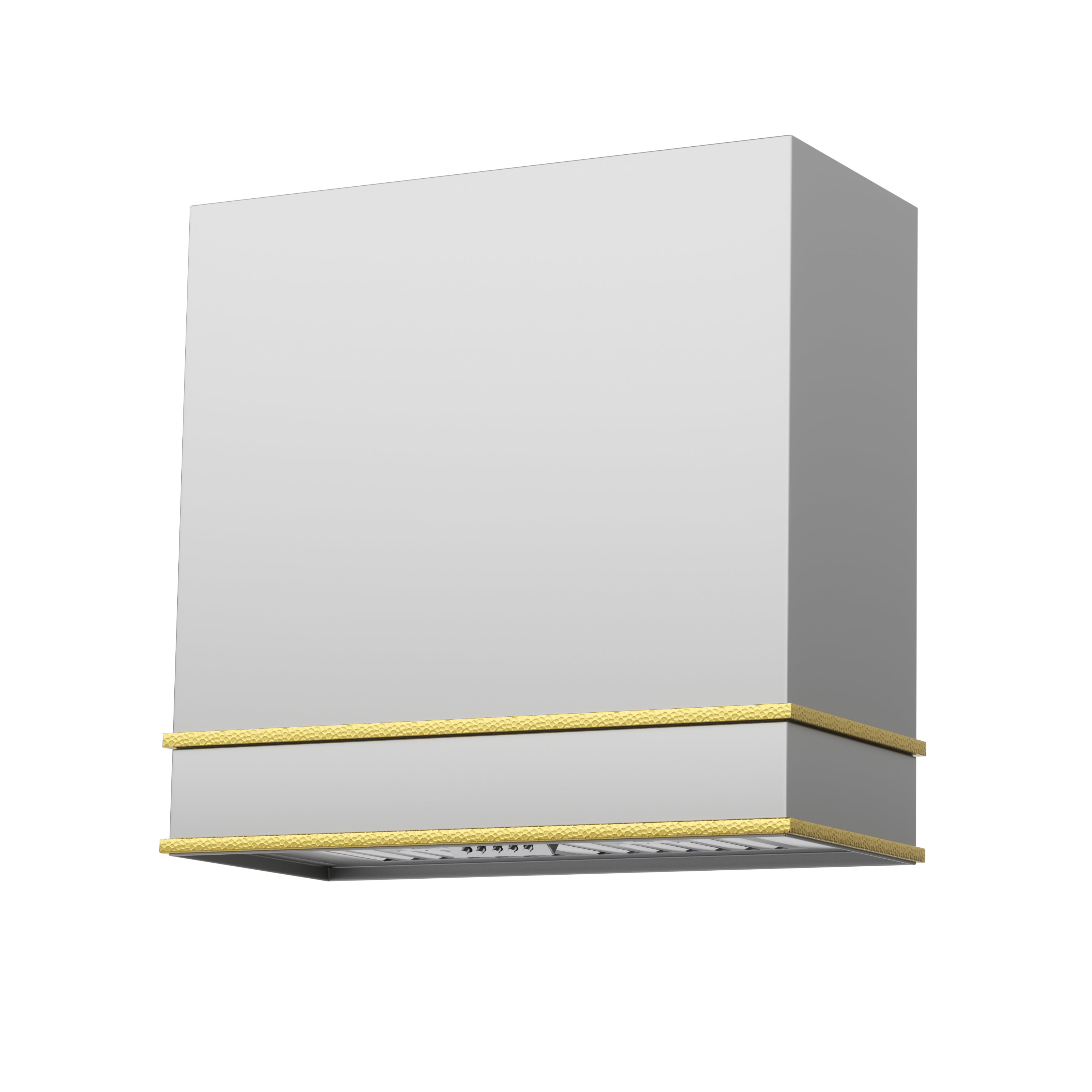 Akicon 30" Stainless Steel Wall Mount Range Hood with 600 CFM Vent Hood