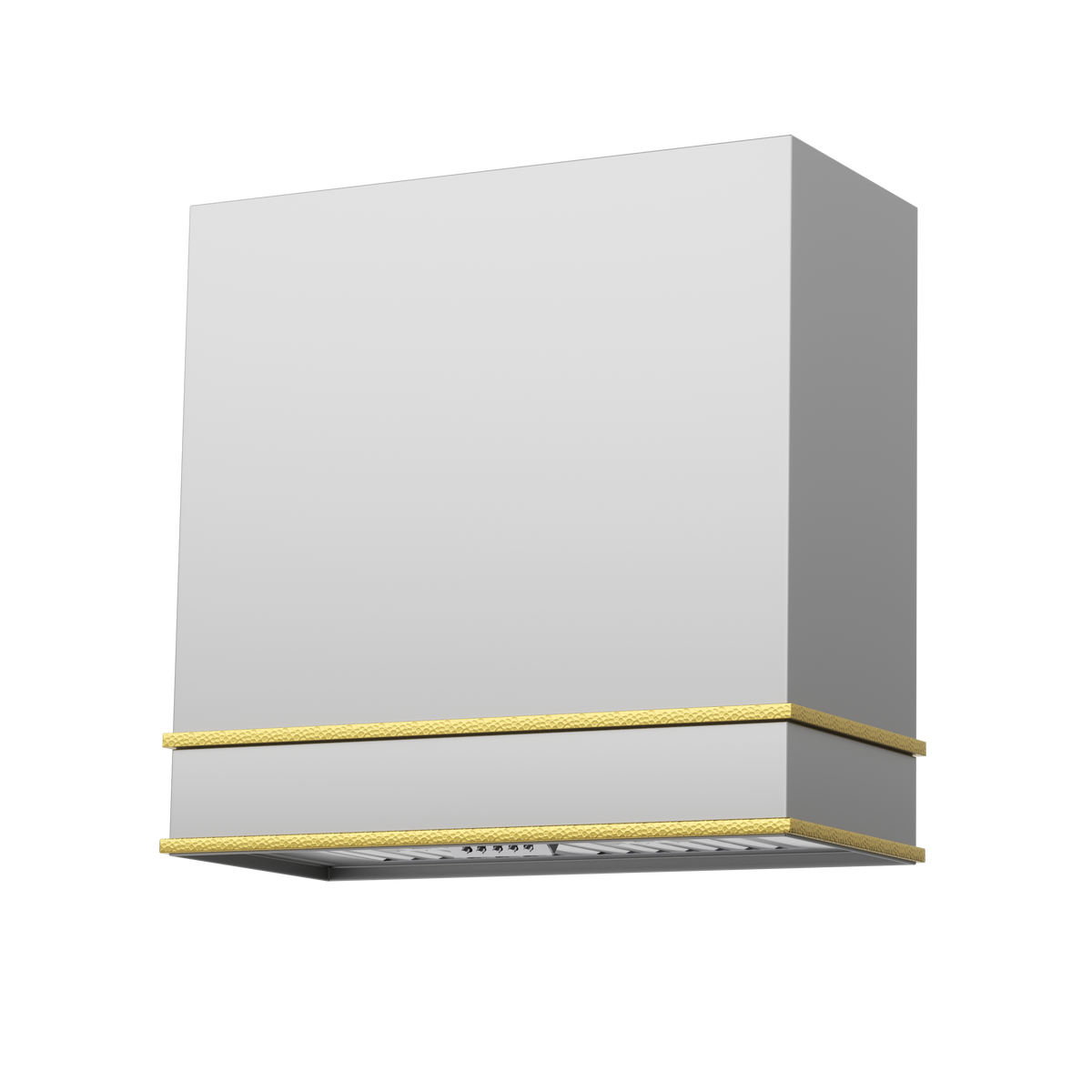 Akicon 30" Stainless Steel Wall Mount Range Hood with 600 CFM Vent Hood