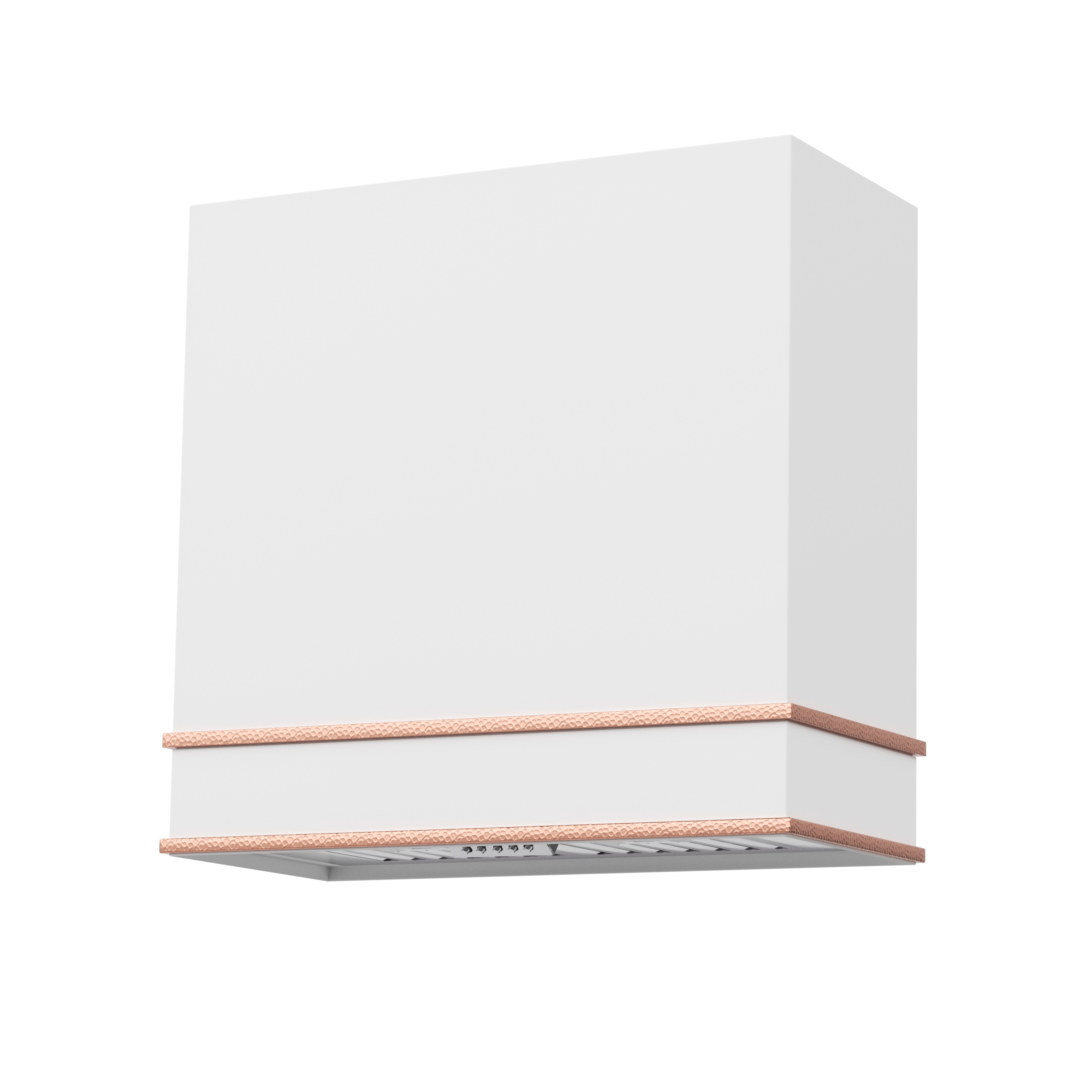 Akicon 30" Stainless Steel Wall Mount Range Hood with 600 CFM Vent Hood