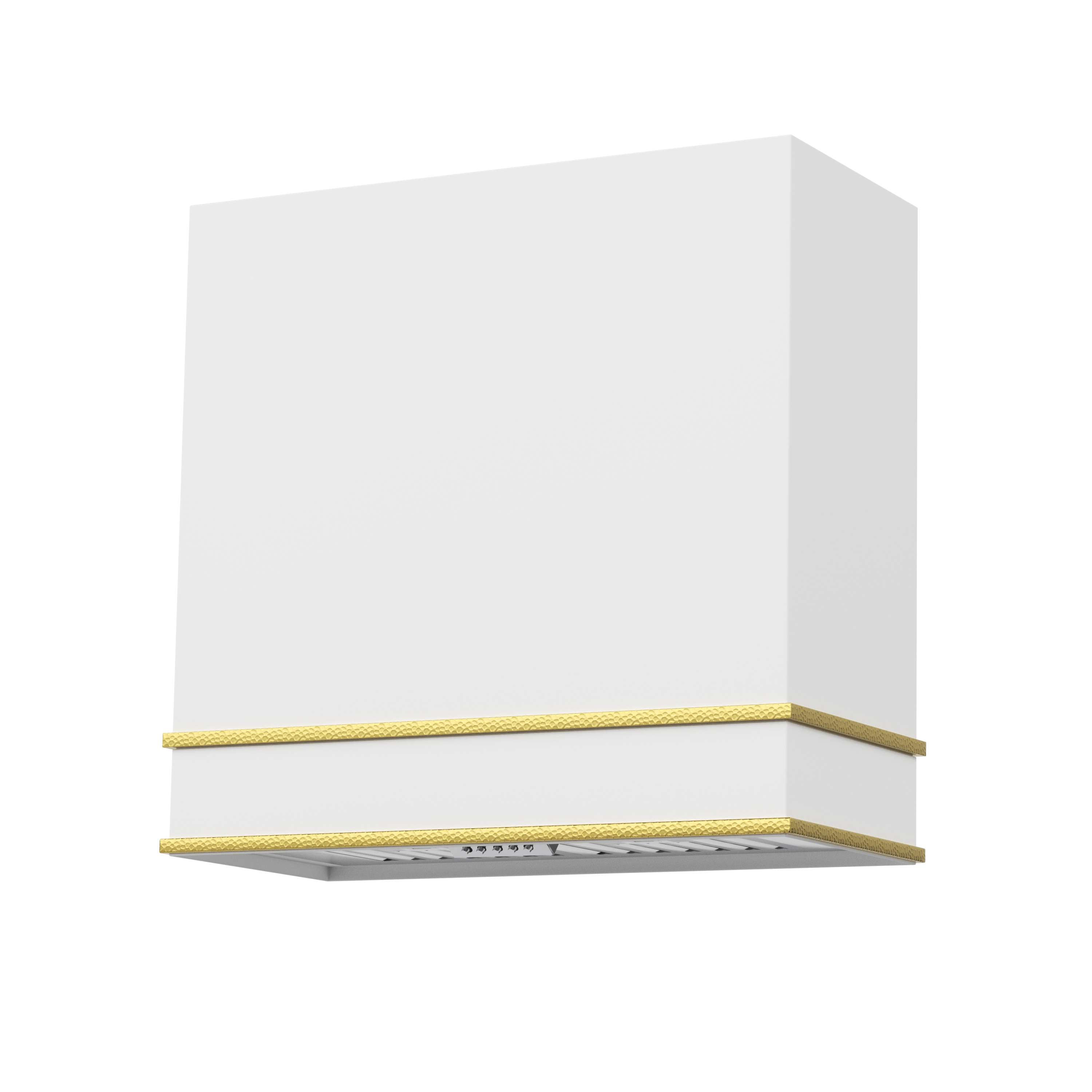 Akicon 30" Stainless Steel Wall Mount Range Hood with 600 CFM Vent Hood