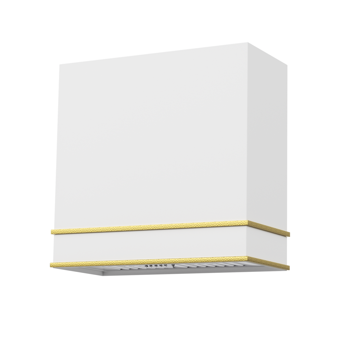 Akicon 30" Stainless Steel Wall Mount Range Hood with 600 CFM Vent Hood