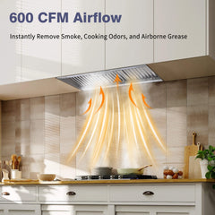 36" Range Hood Insert ,600 CFM Stainless Steel Kitchen Vent Hood with 4 Speeds 3CCT LED Lights