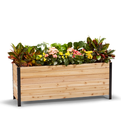 18" x 60" Planter Box - 24" TALL / Select Grade
