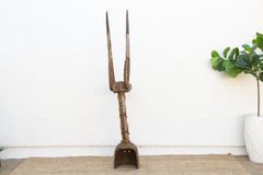 19th Century 83" Tall African Antelope Adone