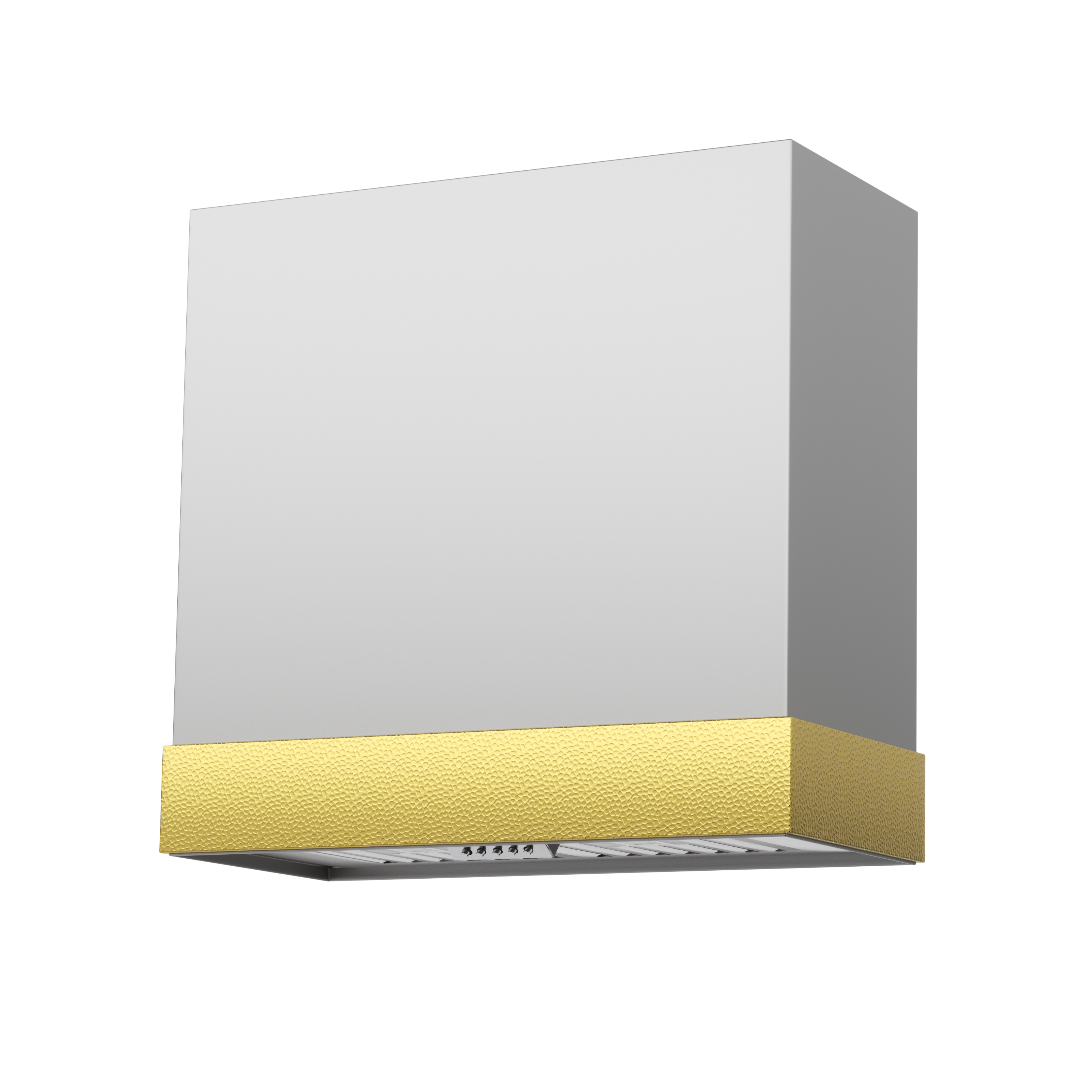Akicon 30" Stainless Steel Wall Mount Range Hood with 600 CFM Vent Hood