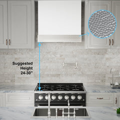 Akicon 30" Stainless Steel Wall Mount Range Hood with 600 CFM Vent Hood