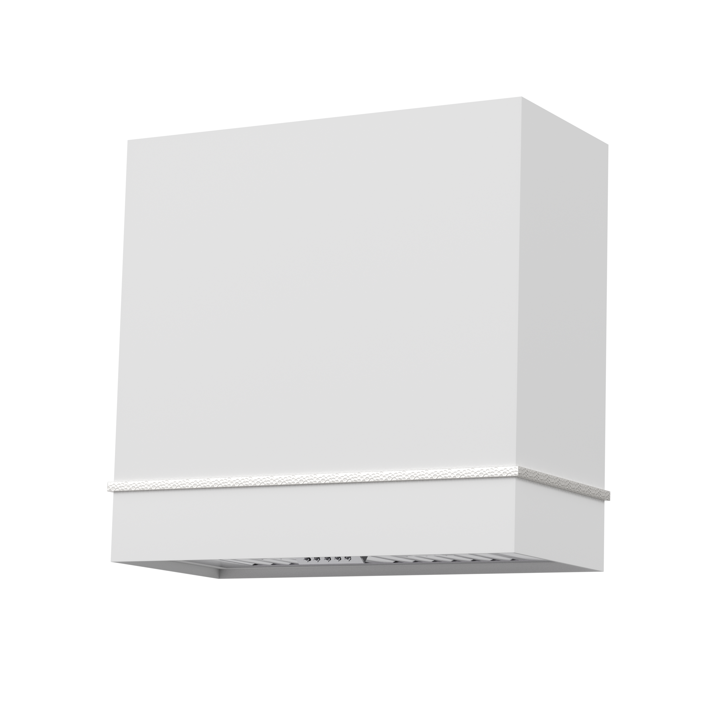 Akicon 30" Stainless Steel Wall Mount Range Hood with 600 CFM Vent Hood