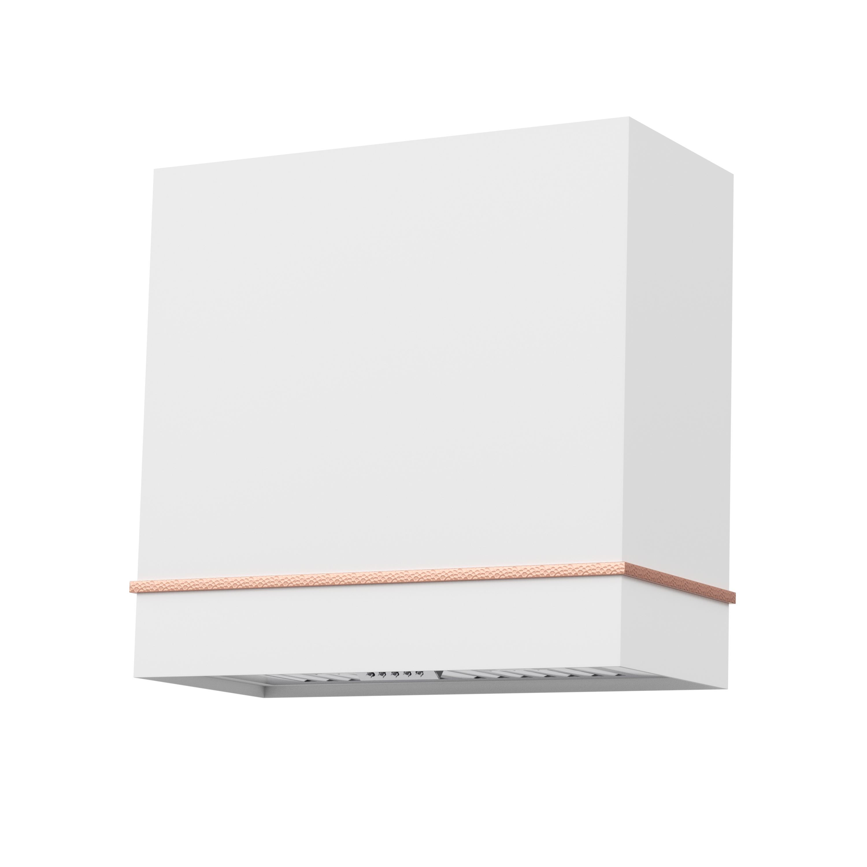 Akicon 30" Stainless Steel Wall Mount Range Hood with 600 CFM Vent Hood