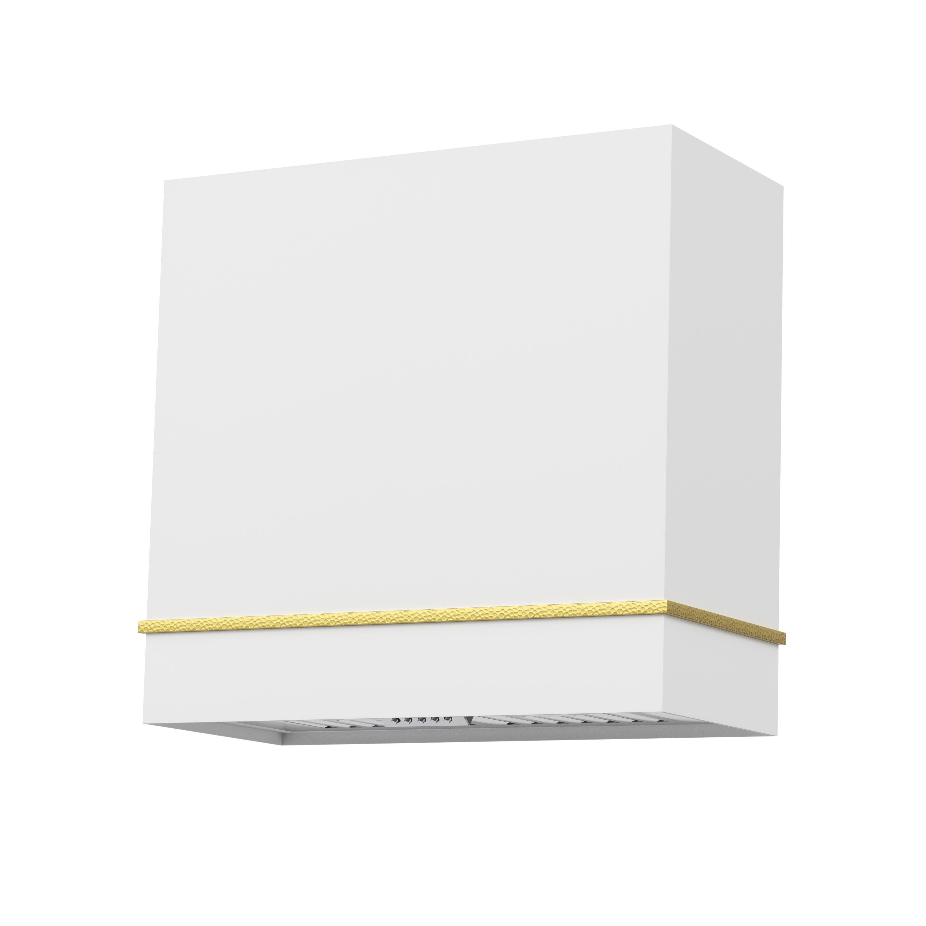 Akicon 30" Stainless Steel Wall Mount Range Hood with 600 CFM Vent Hood