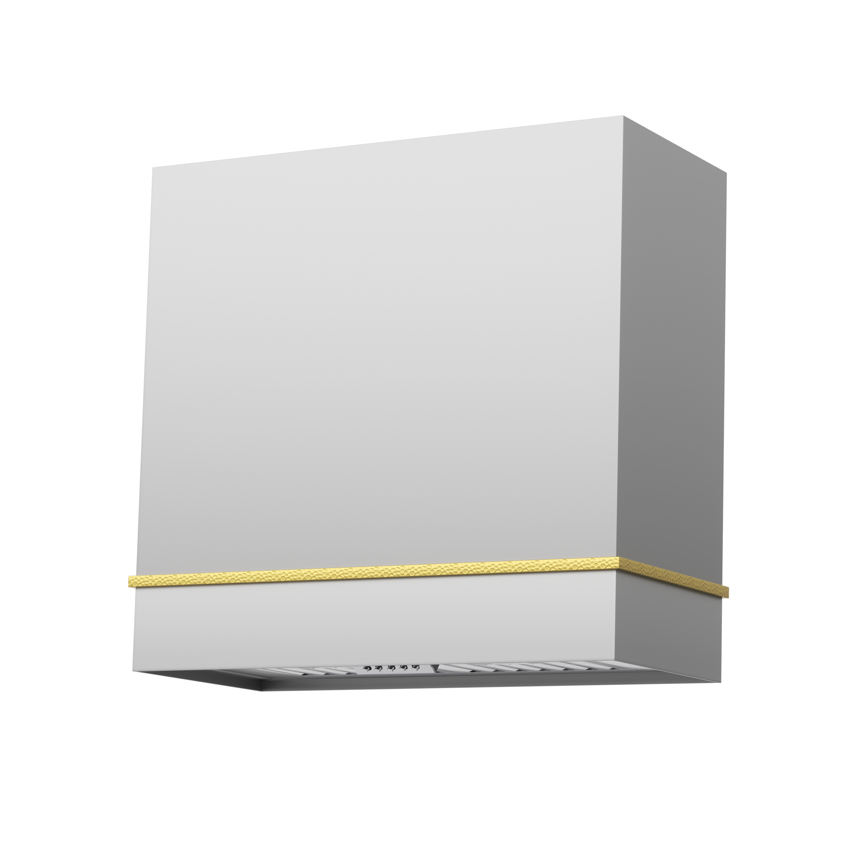 Akicon 30" Stainless Steel Wall Mount Range Hood with 600 CFM Vent Hood