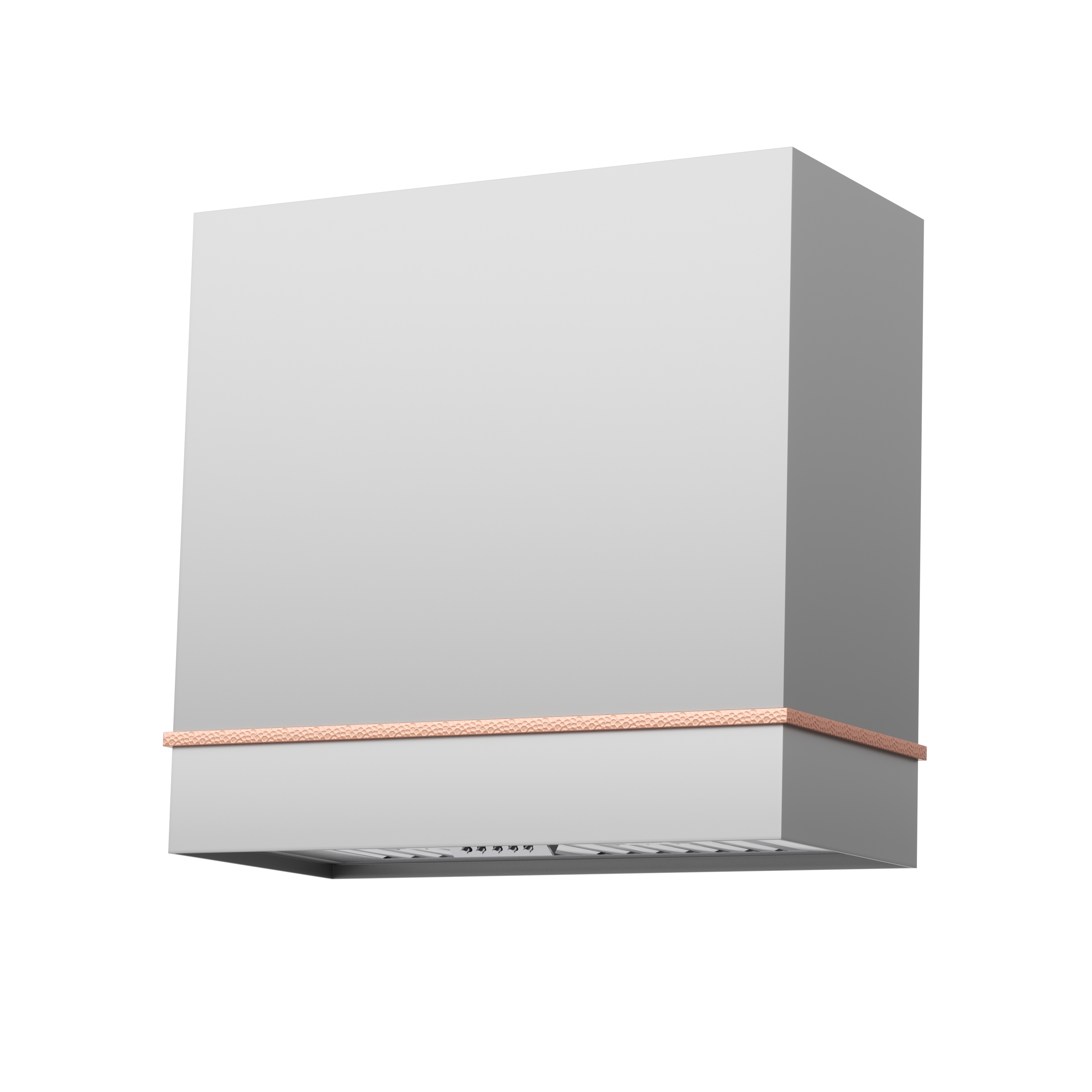 Akicon 30" Stainless Steel Wall Mount Range Hood with 600 CFM Vent Hood