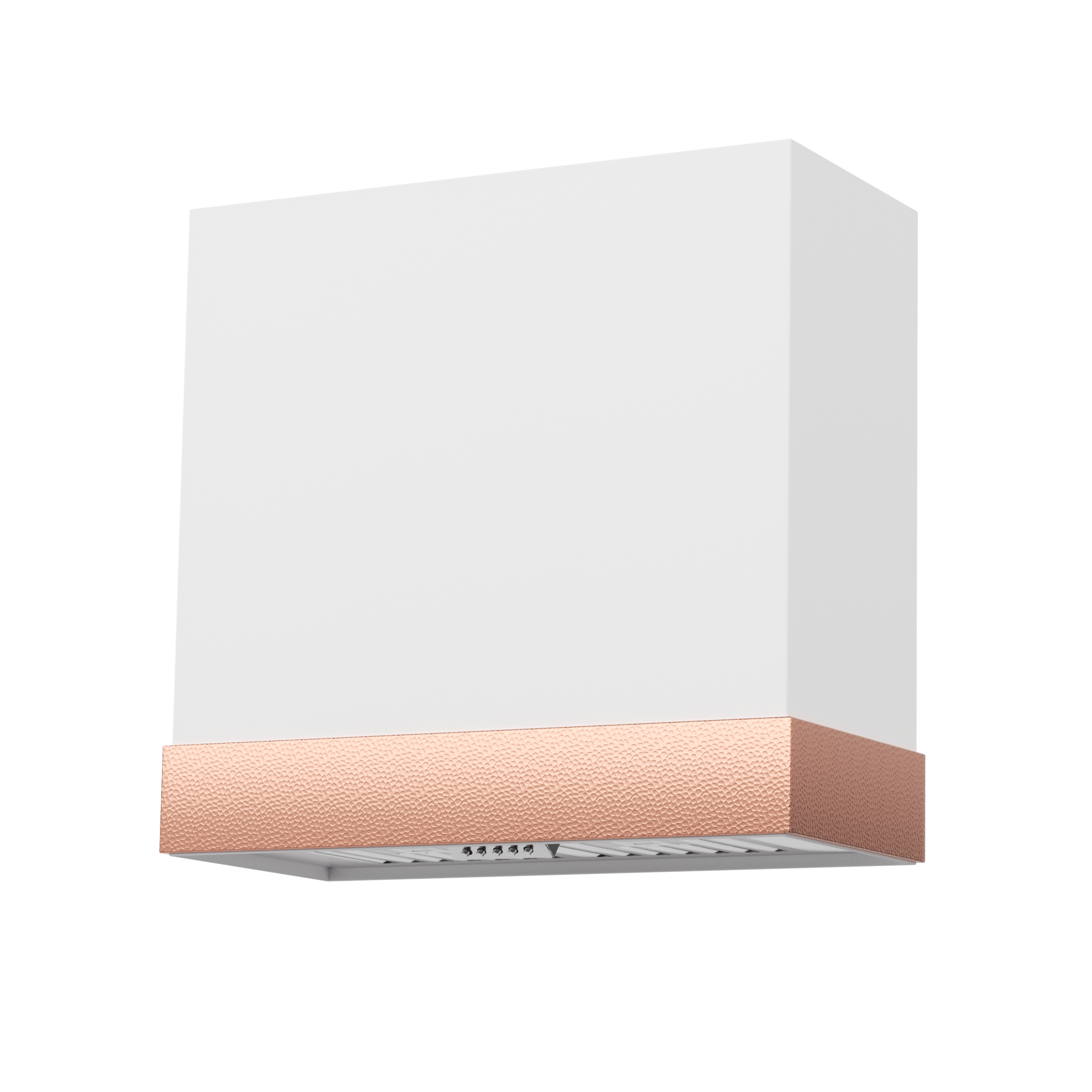 Akicon 30" Stainless Steel Wall Mount Range Hood with 600 CFM Vent Hood